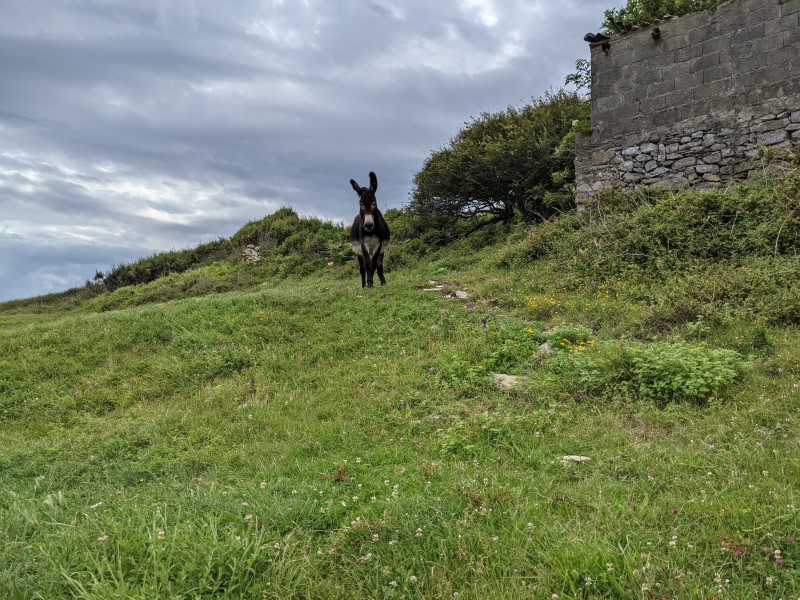 From Onton to Laredo, Camino del Norte, Stage no. 8