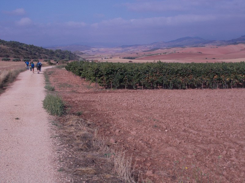From Estella to Los Arcos, Camino Frances, Stage no. 6