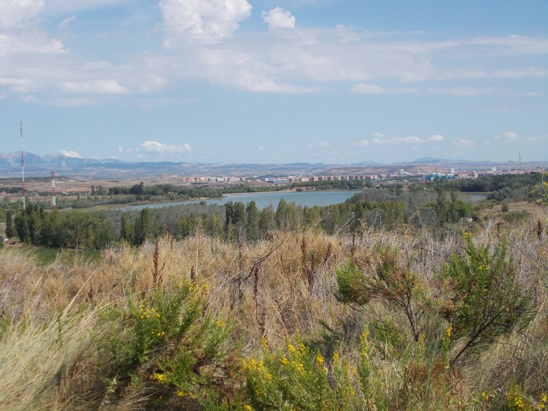 From Los Arcos to Logrono, Camino Frances Stage no. 7
