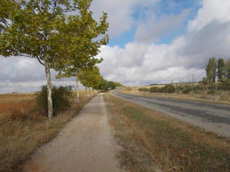 camino de santiago shoes