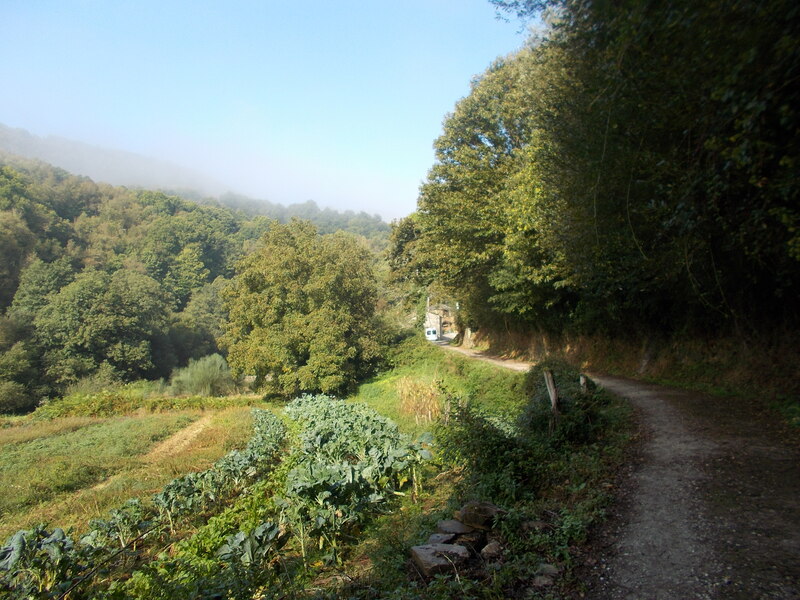 From Samos to Sarria, Camino Frances Stage no. 25