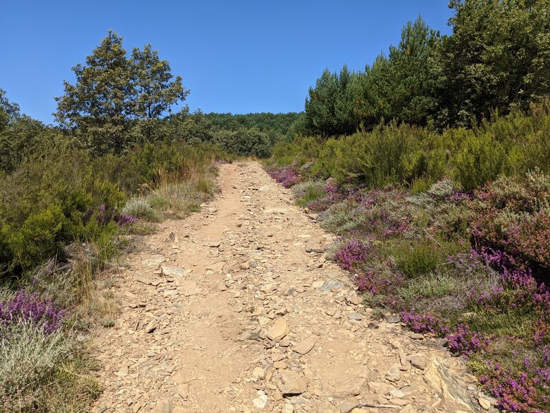 From Astorge to Foncebadon, Camino Frances Stage no. 20