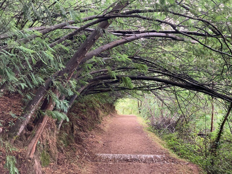 From Caldas de Reis to Padron, Camino Portuguese de la Costa, Stage no. 10